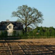 Dlaczego dom coraz częściej projektuje się bardziej pod regenerację niż reprezentację?
